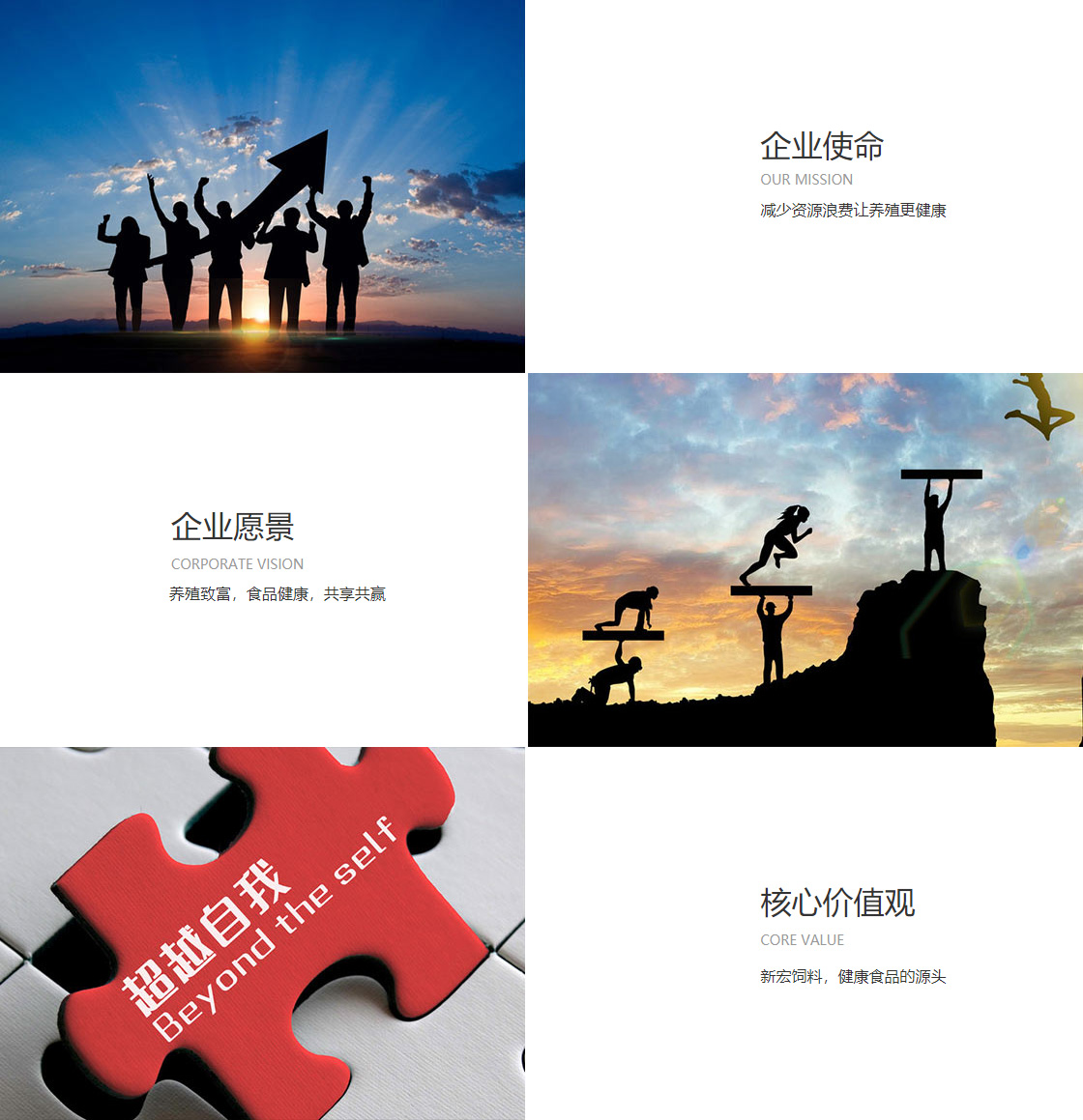 55世纪购彩(图1)